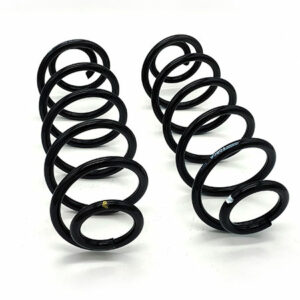 Пружина задняя FORGA F0503077